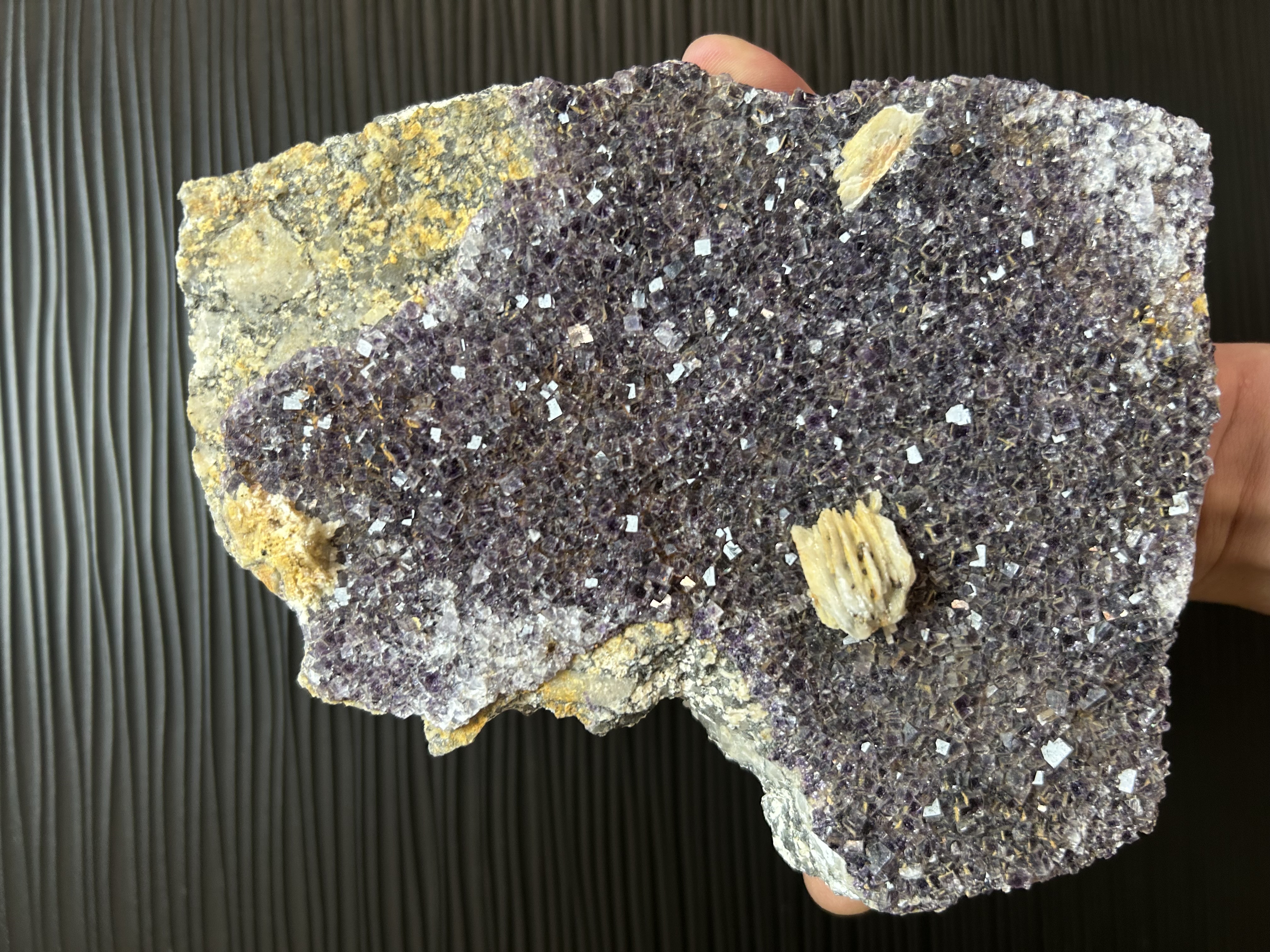 Fluorite de Saint peray, Ardèche (07), Auvergne-Rhône-Alpes, France — associé à Baryte — CaF₂, Halogénures, système cubique, violet, vert, jaune, bleu, incolore, rose, dureté 4, Carrière