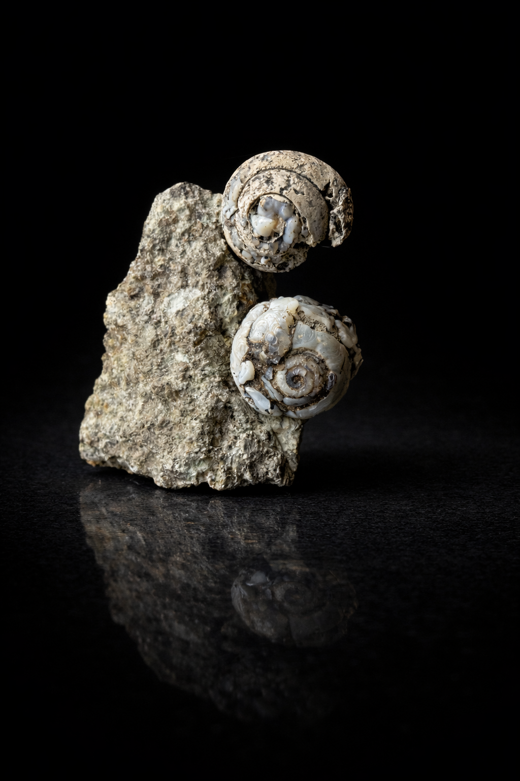 Lussatite de Dallet, Puy-de-Dôme (63), Auvergne-Rhône-Alpes, France — SiO₂·nH₂O, Oxydes et hydroxydes, système amorphe, dureté 5, 5 à 6, Affleurement — découvert 2017