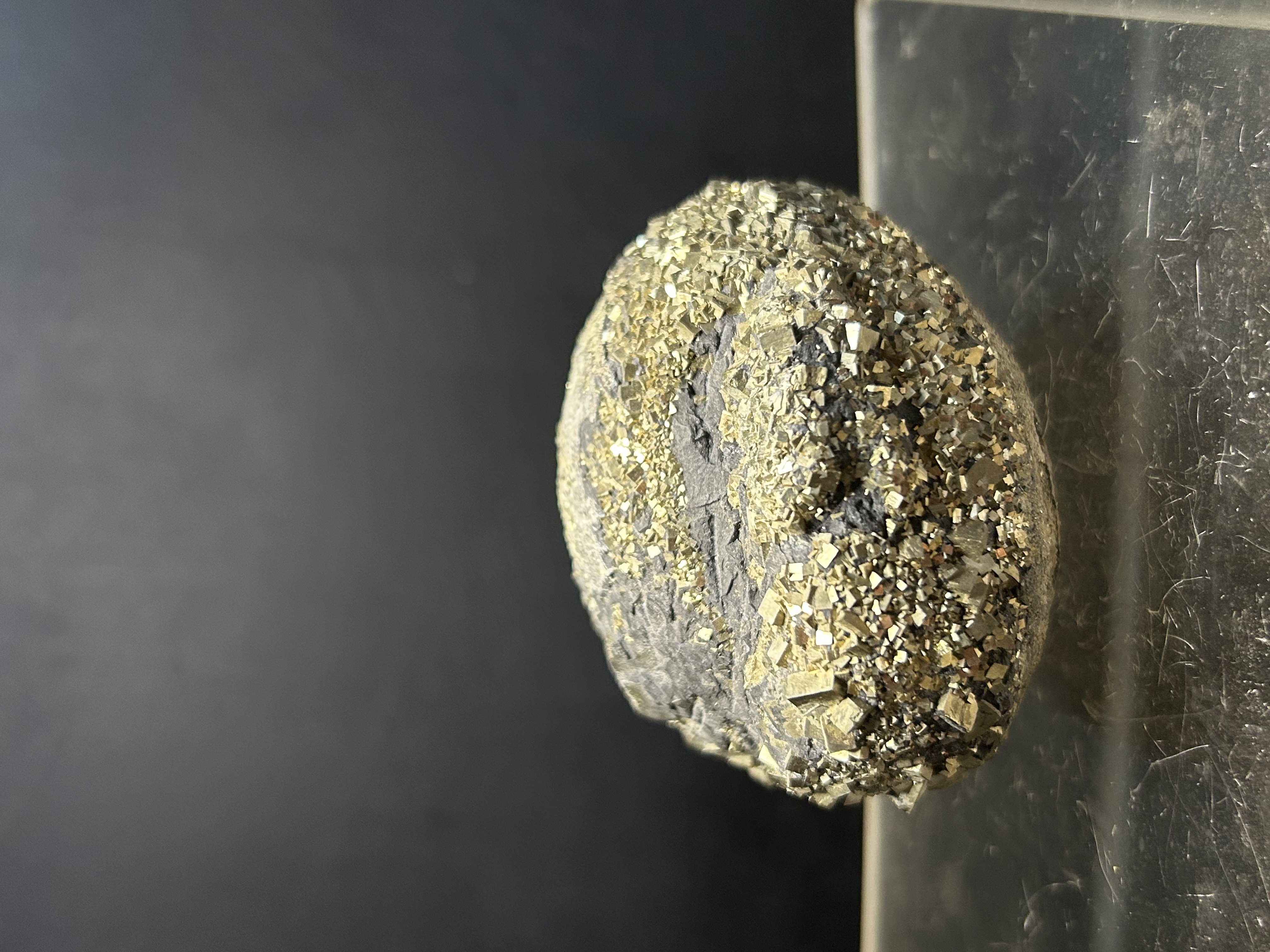Pyrite de Saint Denis d'Orques, Sarthe (72), Pays de la Loire, France — FeS₂, Sulfures et sulfosels, système cubique, jaune laiton pâle, dureté 6 à 6, 5, Carrière